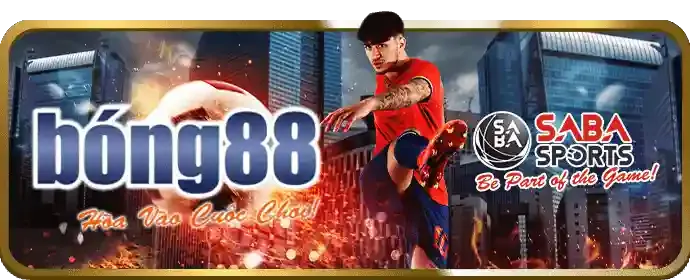 Chương trình VIP ok365m